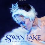 el lago de los cisnes